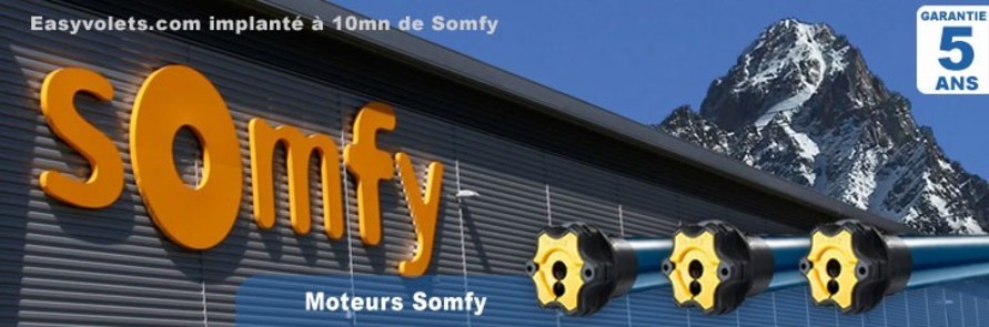 Moteurs Somfy